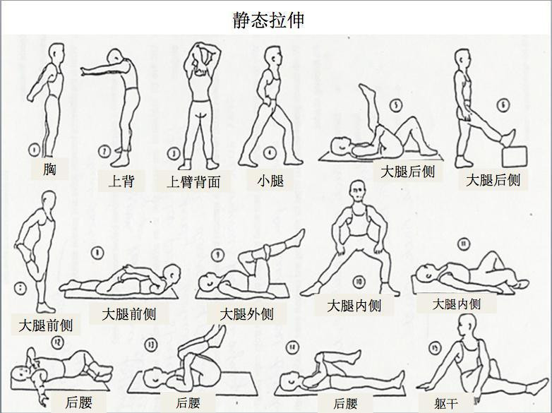 運動