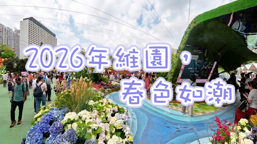 2026年維園，春色如潮