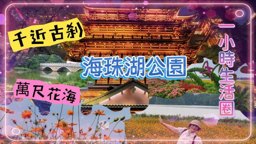 一小時生活圈 // 五月初夏賞花去 // 廣州海珠湖公園 // 上萬平方硫華菊花海 // 過千年古剎 // 大佛寺的日與夜 // 景點地鐵直達 // 免費入場 🌷💐🌹